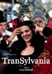 Plakat filmu Transylwania